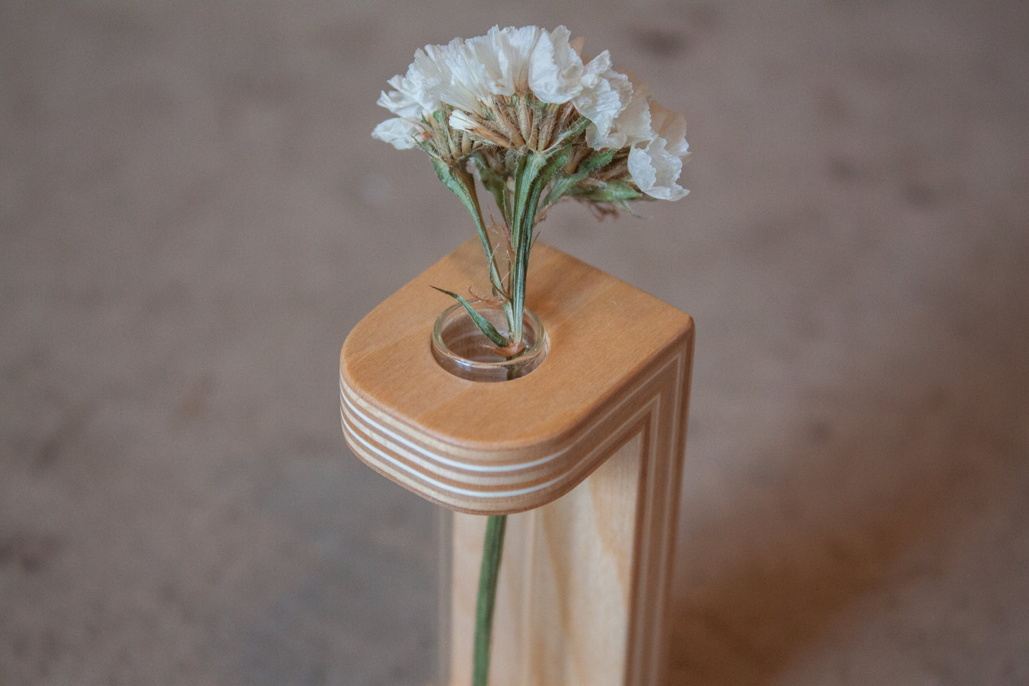 petit dried flower vase